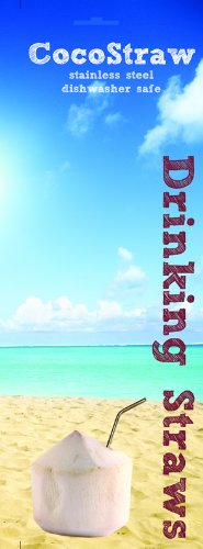 6 Reusable Straws - Stainless Steel Drinking - Set of 6 + 2 Cleaners - Eco Friendly, SAFE, NON-TOXIC non-plastic