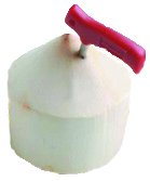 Bright Kitchen Coconut Opener Knife Tool for Opening Young Coco Water Tap